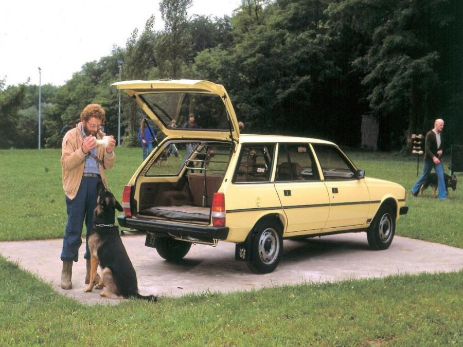 Багажник Peugeot 305 Break 1982 года  (WW) (фото 4 из 11)